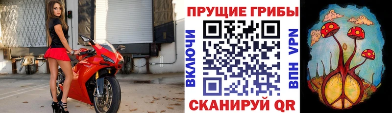 как найти закладки  Батайск  Галлюциногенные грибы MAGIC MUSHROOMS 