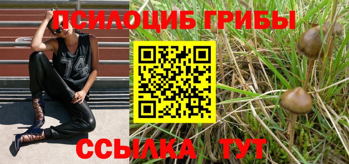 Галлюциногенные грибы Magic Shrooms  Псилоцибиновые грибы Cubensis  Вход с VPN  Батайск 